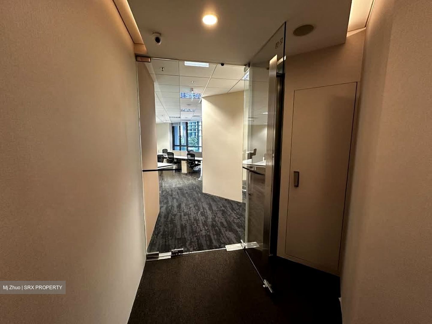 PLUS (D1), Office #556235801